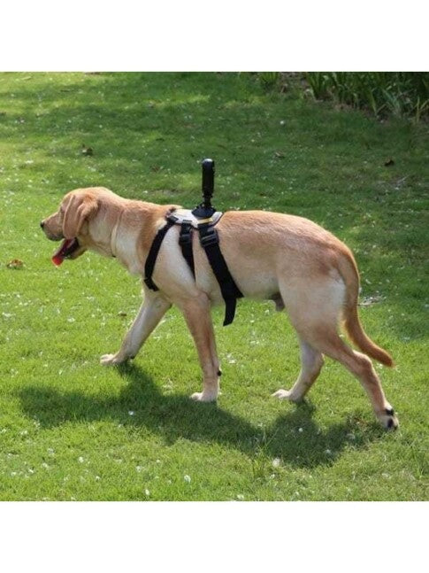 Insta360 Pet Bundle Mount for ONE X2 / ONE R / GO 2