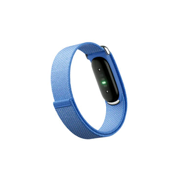 Google Fitbit Air Classic Lavender