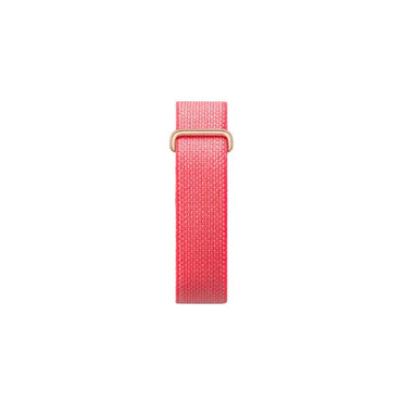 Google Fitbit Air Classic Berry