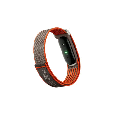 Google Fitbit Air Classic Special Edition Stephen Curry Rye