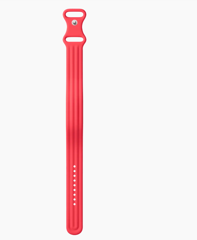 Google Fitbit Air Active Band Berry Small