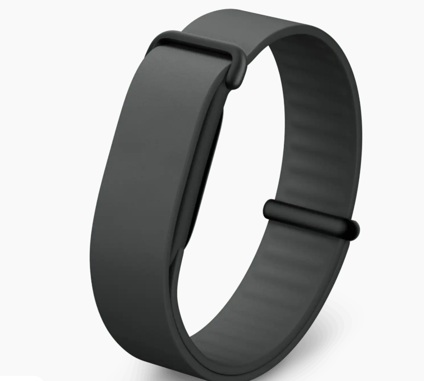 Google Fitbit Air Elevated Modern Band Obsidian